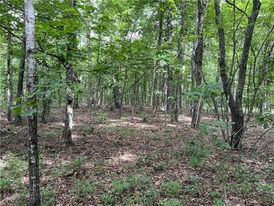 Secluded 3BR-2BA rustic Ozark Mountain log cabin on 15.93 acres - photo 42
