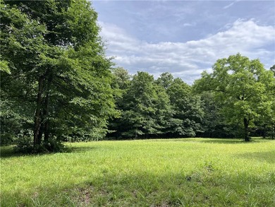 Secluded 3BR-2BA rustic Ozark Mountain log cabin on 15.93 acres - photo 43