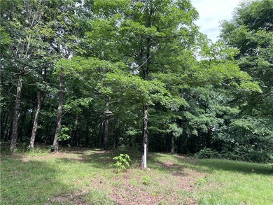 Secluded 3BR-2BA rustic Ozark Mountain log cabin on 15.93 acres - photo 44