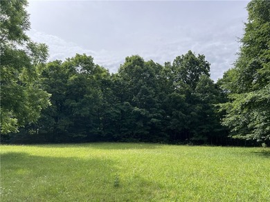 Secluded 3BR-2BA rustic Ozark Mountain log cabin on 15.93 acres - photo 46