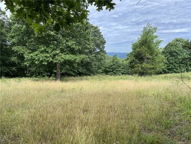 Secluded 3BR-2BA rustic Ozark Mountain log cabin on 15.93 acres - photo 48