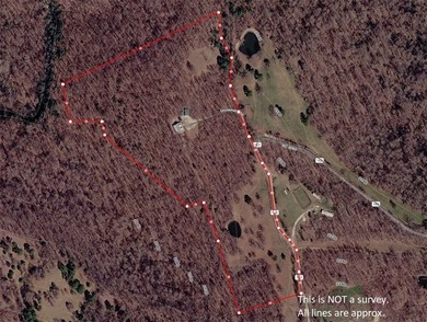 Secluded 3BR-2BA rustic Ozark Mountain log cabin on 15.93 acres - photo 49