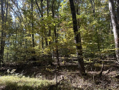 Douglas Lake Lot For Sale in Baneberry Tennessee
