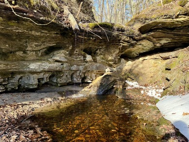 Discover a rare and breathtaking 88-acre tract along the - photo 7