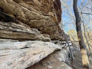 Discover a rare and breathtaking 88-acre tract along the - photo 9