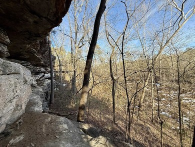 Discover a rare and breathtaking 88-acre tract along the - photo 10