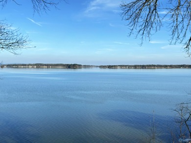 Lake Lot For Sale in Cedar Bluff, Alabama