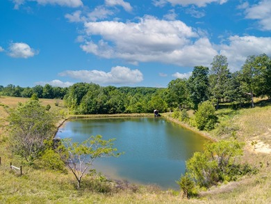 Rare find !! House and 21.04 acres in Adair County. House - photo 2