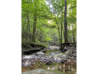 Rare find !! House and 21.04 acres in Adair County. House - photo 4