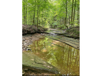 Rare find !! House and 21.04 acres in Adair County. House - photo 8