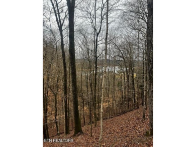 Lake Acreage For Sale in Sharps Chapel, Tennessee