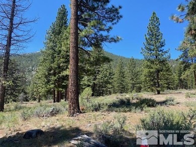 Clear Creek Tahoe is Northern Nevada's most exciting new - photo 1