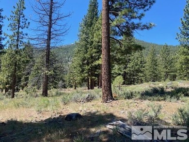 Clear Creek Tahoe is Northern Nevada's most exciting new - photo 2