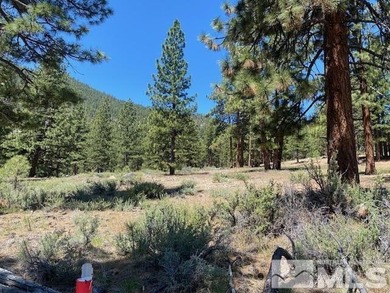 Clear Creek Tahoe is Northern Nevada's most exciting new - photo 3