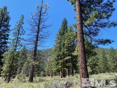 Clear Creek Tahoe is Northern Nevada's most exciting new - photo 4