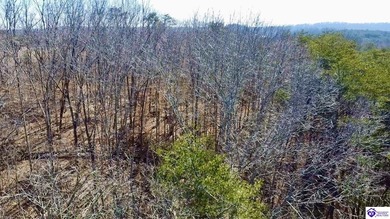 Welcome to 7.93 breathtaking acres in Poplar Ridge Subdivision - photo 23