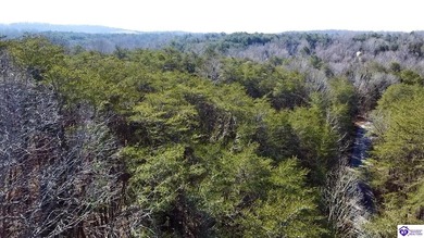 Welcome to 7.93 breathtaking acres in Poplar Ridge Subdivision - photo 25