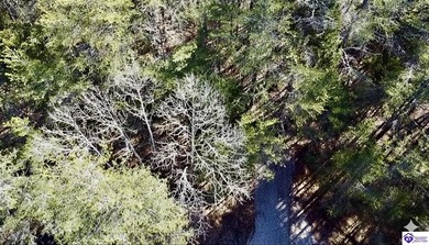 Welcome to 7.93 breathtaking acres in Poplar Ridge Subdivision - photo 26