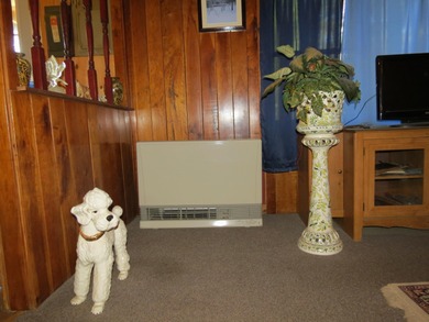 Tucked away in the serene woods of the Ausable Acres subdivision - photo 8