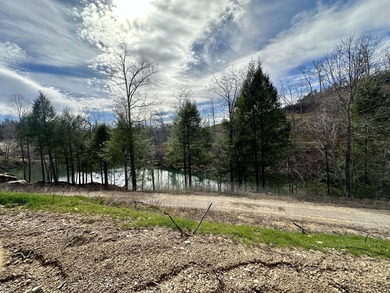 LAKE FRONT BUILDING LOT WITH PRIVATE DOCK & HOUSE SEAT - photo 5