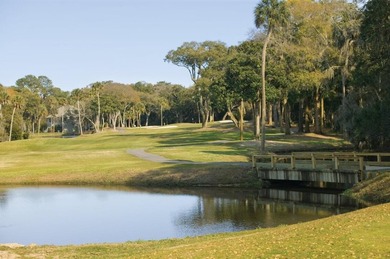 ****EDISTO ISLAND LAND!! **** NO RESTRICTIONS!!! **10 FULL - photo 11