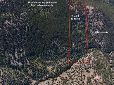 Lake Acreage For Sale in Helmville, Montana