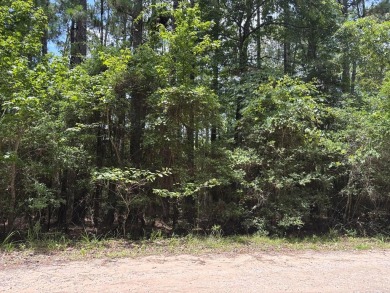Lake Lot For Sale in Brookeland, Texas