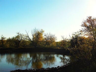 Welcome to this 76 Acres on County Road 131 in Bangs ISD - photo 12