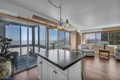 Major Price Improvement! Experience life above it all in Marine - photo 13