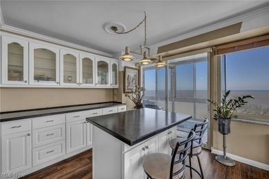 Major Price Improvement! Experience life above it all in Marine - photo 14