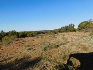 Welcome to this 76 Acres on County Road 131 in Bangs ISD - photo 14