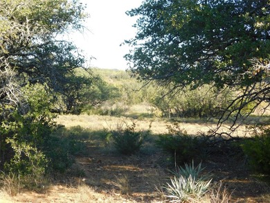 Welcome to this 76 Acres on County Road 131 in Bangs ISD - photo 16