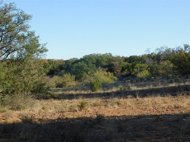 Welcome to this 76 Acres on County Road 131 in Bangs ISD - photo 17