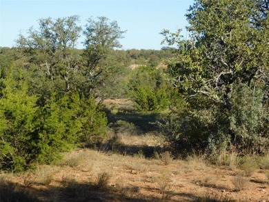 Welcome to this 76 Acres on County Road 131 in Bangs ISD - photo 18