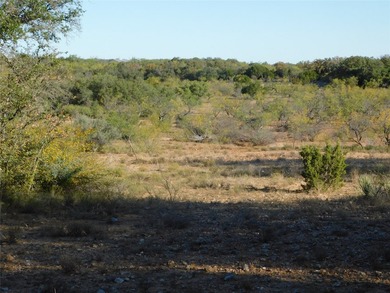 Welcome to this 76 Acres on County Road 131 in Bangs ISD - photo 19