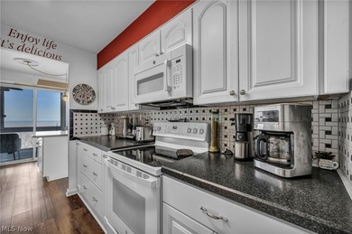 Major Price Improvement! Experience life above it all in Marine - photo 21