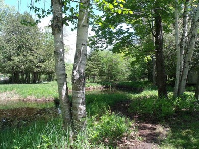 Looking for an Up North waterfront getaway with potential? This - photo 21