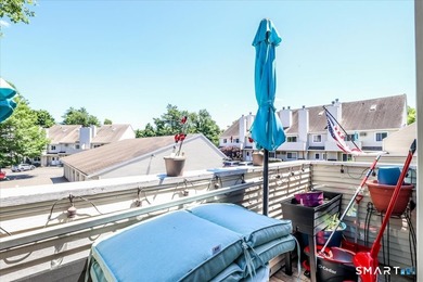 Welcome to this well-maintained Danbury condominium offering - photo 22