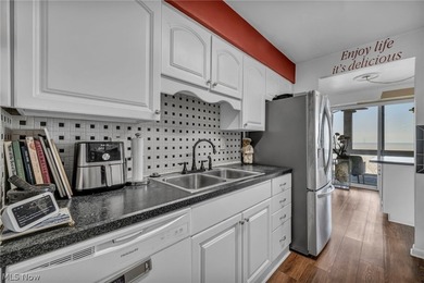 Major Price Improvement! Experience life above it all in Marine - photo 22