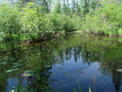 Looking for an Up North waterfront getaway with potential? This - photo 23
