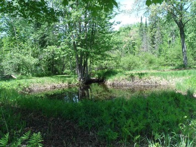 Looking for an Up North waterfront getaway with potential? This - photo 28