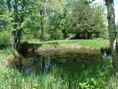 Looking for an Up North waterfront getaway with potential? This - photo 32