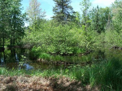 Looking for an Up North waterfront getaway with potential? This - photo 33