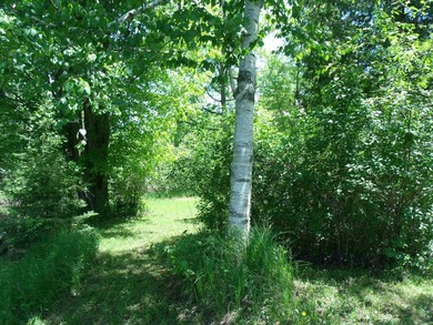 Looking for an Up North waterfront getaway with potential? This - photo 34
