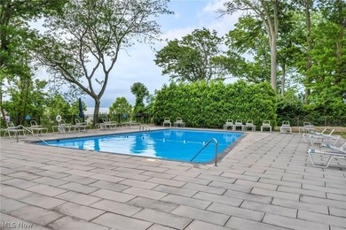 Major Price Improvement! Experience life above it all in Marine - photo 35