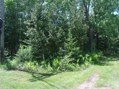 Looking for an Up North waterfront getaway with potential? This - photo 35
