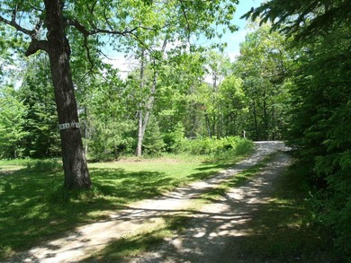 Looking for an Up North waterfront getaway with potential? This - photo 36