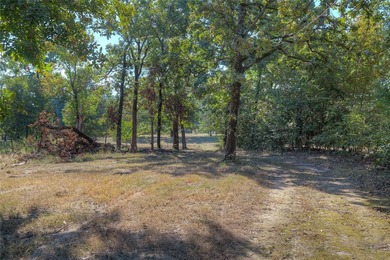 Video Tour! - Search: *331 CR 1887, Yantis, Video Tour* Lake - photo 37