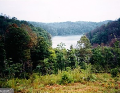 Lake Lot For Sale in Murphy, North Carolina