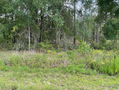 Lake Lot For Sale in Dunnellon, Florida